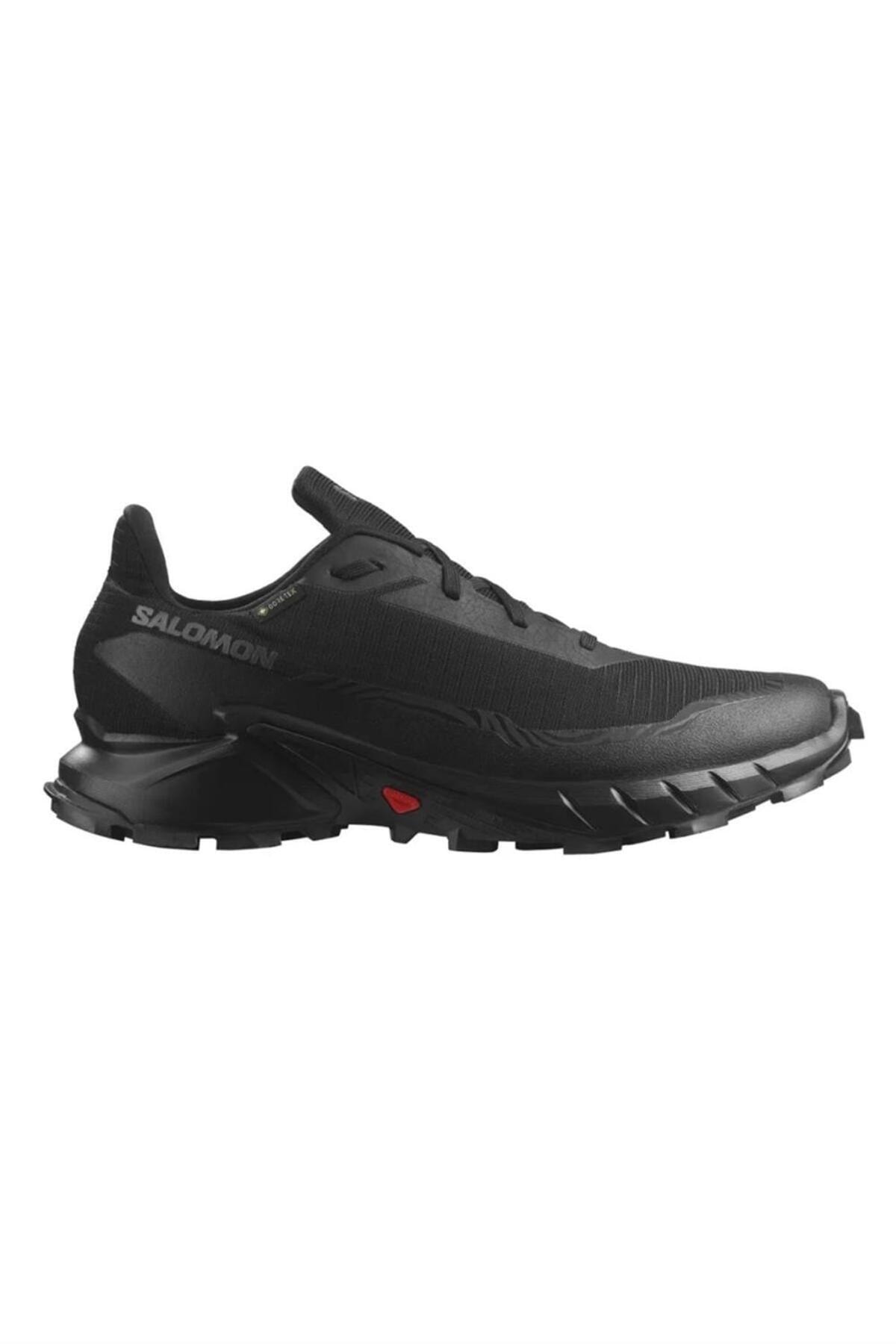 1_org_zoom-1.jpg